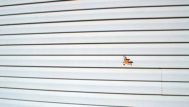 Inspection of Repaired Siding