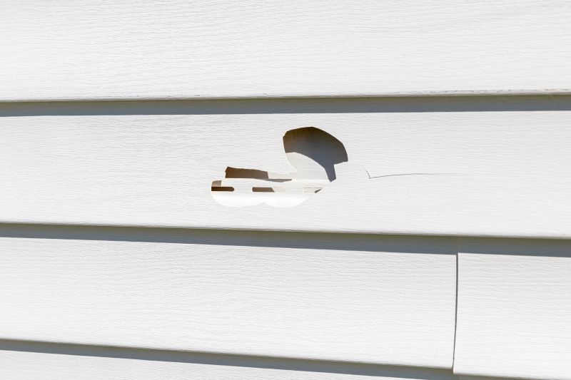 Vinyl Siding Repair Expert 2