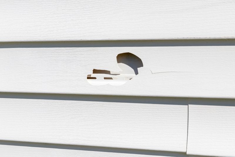 Vinyl Siding Repair Consultation
